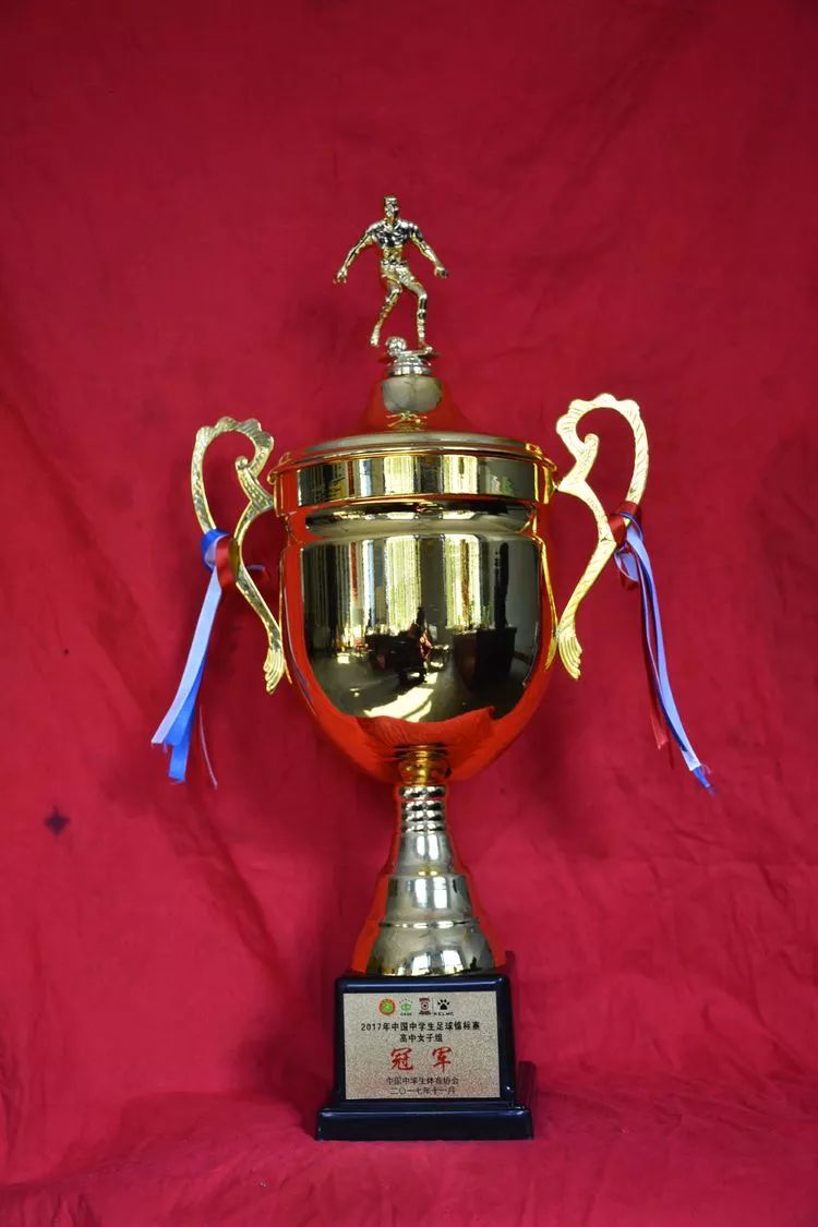 山东郯城队逼平成都球队,保级关键战略平局 山东郯城队逼平成都球队,保级关键战略平局