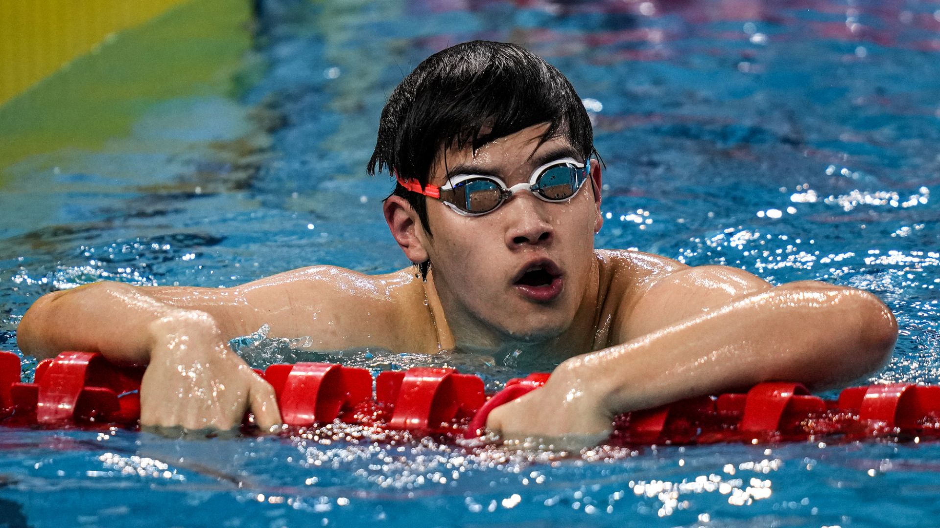 爱尔兰游泳选手以超强实力摘金的简单介绍